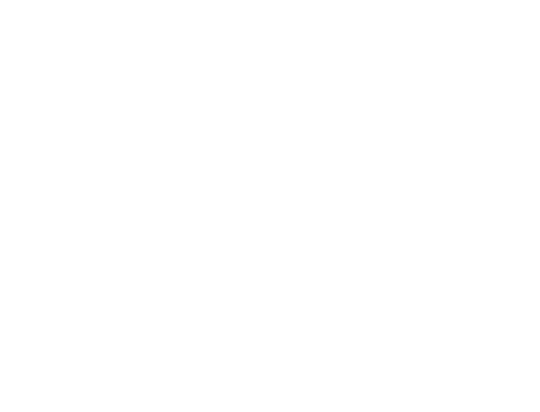 Black Box Metepec